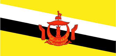 Brunei : Страны, флаг (Большой)