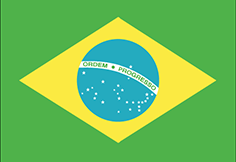 Brazil : 나라의 깃발 (평균)