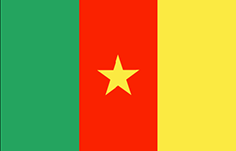 Cameroon : Maan lippu (Keskimääräinen)