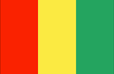 Guinea : La landa flago (Medium)