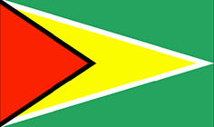 Guyana : 나라의 깃발 (평균)