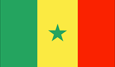 Senegal : 国家的国旗