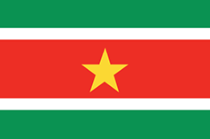 Suriname : Az ország lobogója