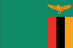 Zambia : Landets flagga (Genomsnittlig)
