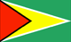 Guyana : ದೇಶದ ಧ್ವಜ (ಸಣ್ಣ)