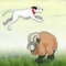 Sheep Jumper - Sheep Jumper