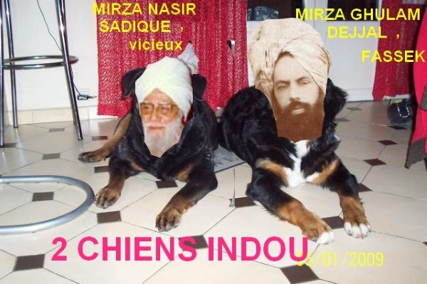Naseer : les 2 chiens des  britanniques