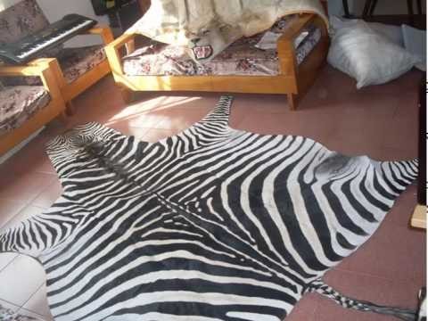 Zebra » Zebra Hide Rug: