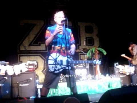 Zebrahead » Zebrahead - Falling Apart & Anthem (live at Koln)
