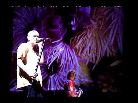 REM » REM "Binky the Doormat " live