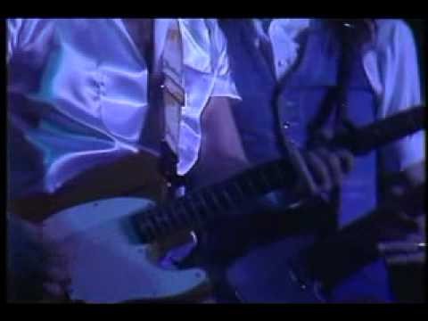 Status Quo » Status Quo Live At  The N.E.C. 1982 2/4