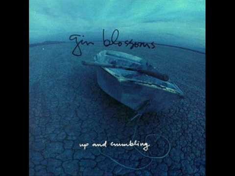Gin Blossoms » Gin Blossoms - Just South of Nowhere