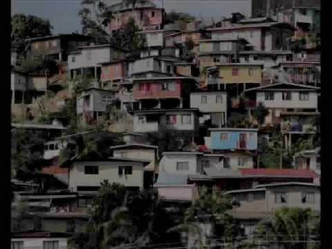 Joni Mitchell » Joni Mitchell... Dreamland Tropical Video Collage