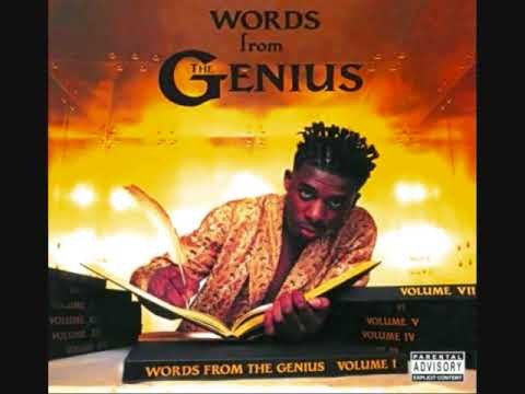 Genius » The Genius - Feel The Pain