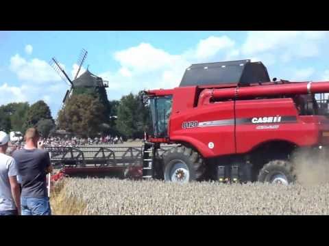 Case » Case IH Feldtag / Field Day 2010