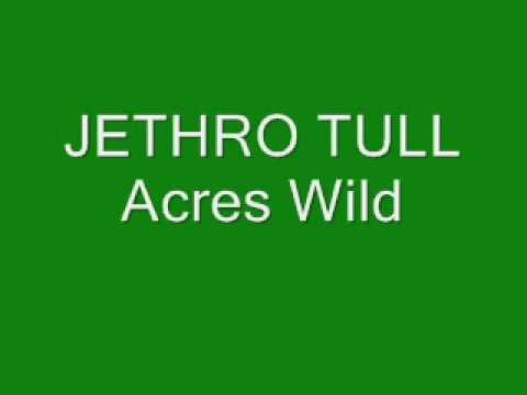 Jethro Tull » Jethro Tull- Acres Wild