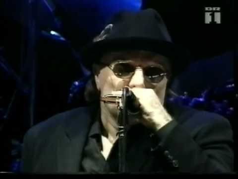 Van Morrison » Van Morrison - If you love me - live 1997