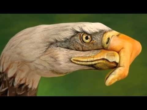 Eagles » Eagles - One Of These Nights -HD