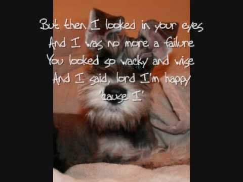 Nellie McKay » Nellie McKay -The Dog Song lyric