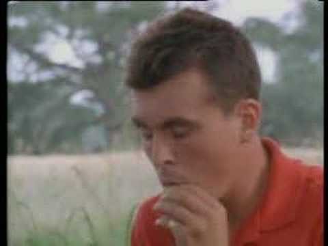 Housemartins » The Housemartins - Me And The Farmer