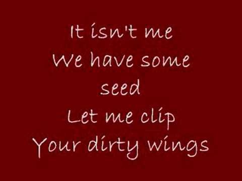 Nirvana » Polly -- Nirvana -- Lyrics