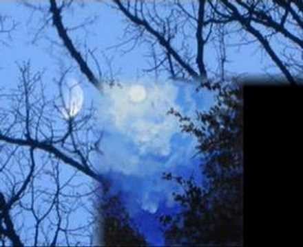 Rod Stewart » Blue Moon  - Rod Stewart