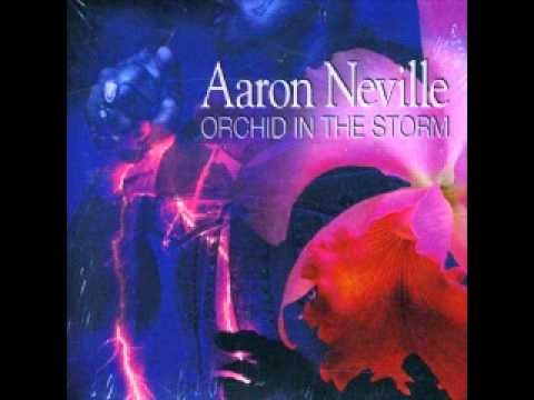 Aaron Neville » Aaron Neville - Pledging My Love