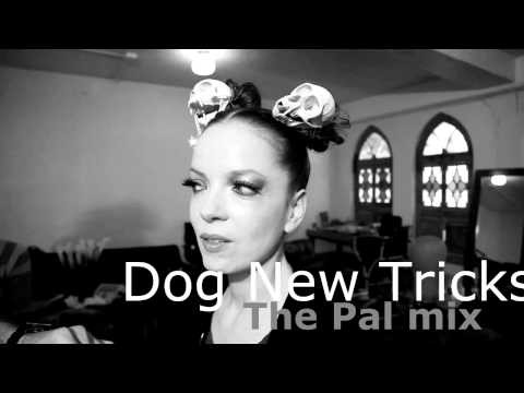 Garbage » Garbage - Dog New Tricks (The Pal mix)