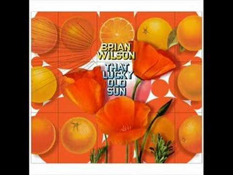 Brian Wilson » Brian Wilson - Good Kind Of Love