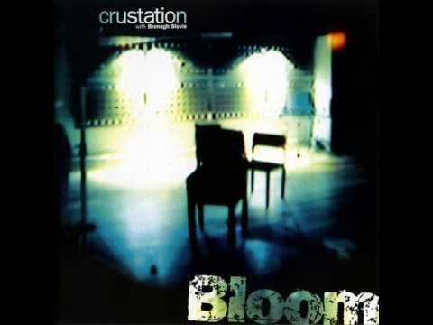 Crustation » Crustation - Face The Waves (trip hop)