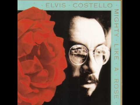 Elvis Costello » Elvis Costello - All Grown Up