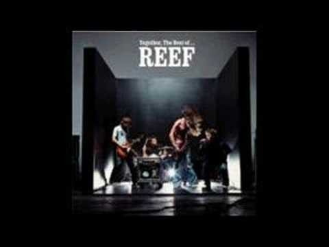 Reef » Reef - Give me your love