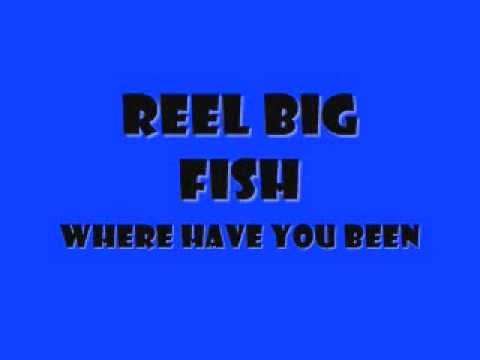 Reel Big Fish » Reel Big Fish, where have you been