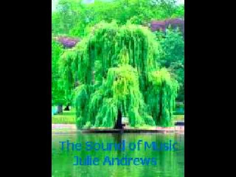 Julie Andrews » The Sound of Music. - Julie Andrews.