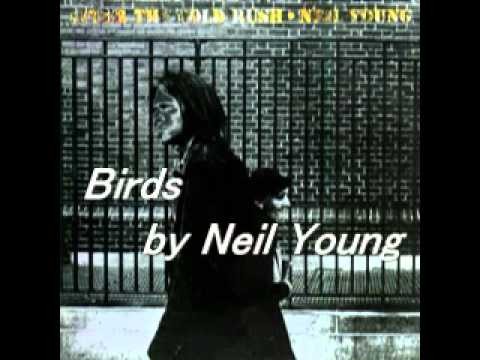 Neil Young » Neil Young - Birds - After The Gold Rush