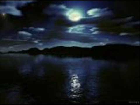 Tony Christie » Tony Christie , Moonlight and Roses..wmv