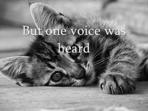 Billy Gilman » Billy Gilman One Voice + Lyrics
