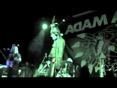 Adam Ant » Adam Ant In Dundee 21,May,2011 Dog Eat Dog