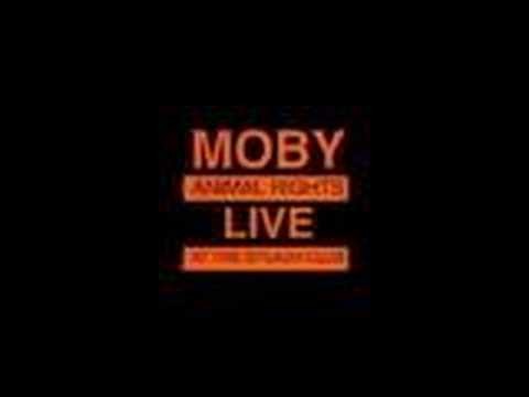 Moby » Moby-Face It (Live At The Splash Club)