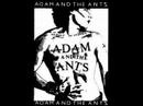 Adam Ant » Deutscher Girls by Adam Ant