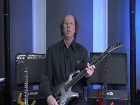 Adrian Belew » Adrian Belew Signature Parker Fly