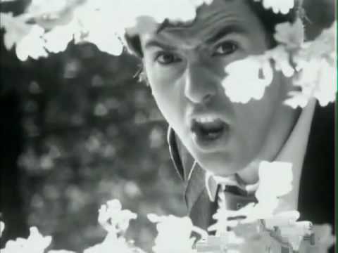 Peter Gabriel » Peter Gabriel - Shock the Monkey (HQ music video)