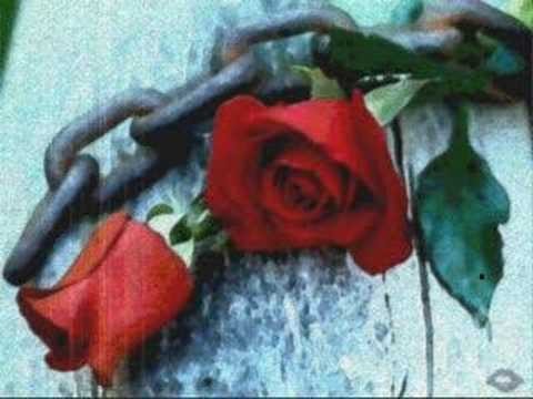 Andrea Bocelli » Andrea Bocelli - il Mare Calmo Della Sera
