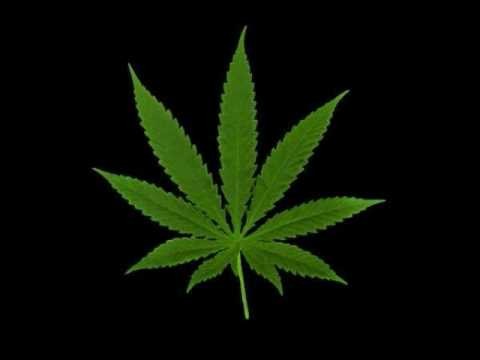 Spearhead » Micheal Franti & Spearhead - Ganja Babe