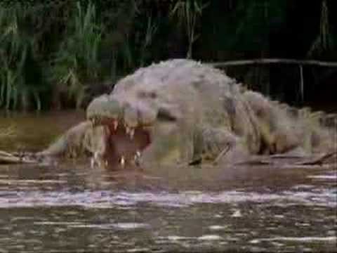Gustave - The giant crocodile