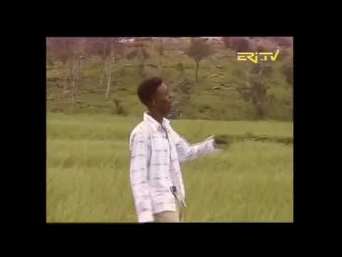 Eritrea Patriotic Music: "Fikriki'yu Tsamay" Medhanie G/tatio
